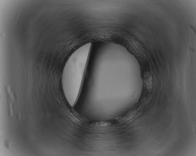 X0000098010235200803280737