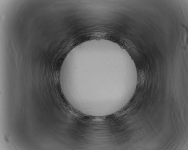 X0000098010236200803280737