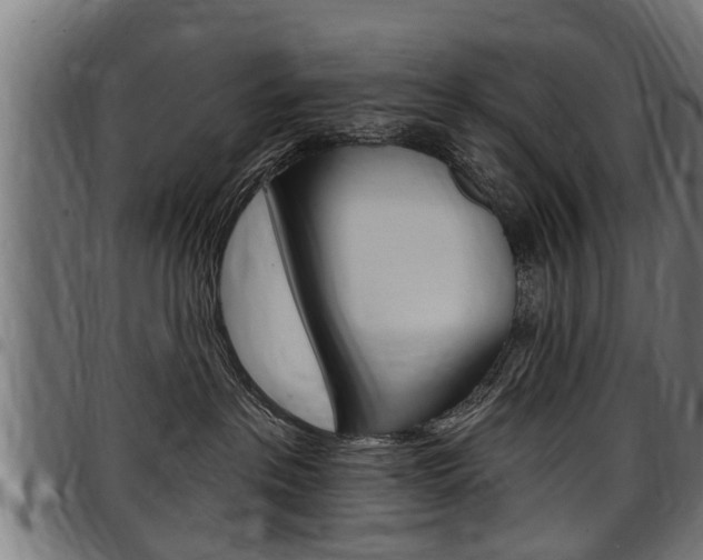 X0000098010237200803280737