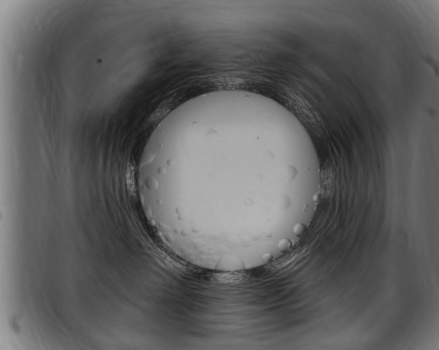 X0000098010238200803280737