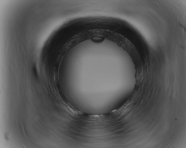 X0000098010239200803280737