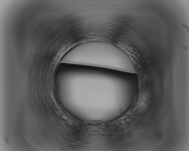 X0000098010241200803280737
