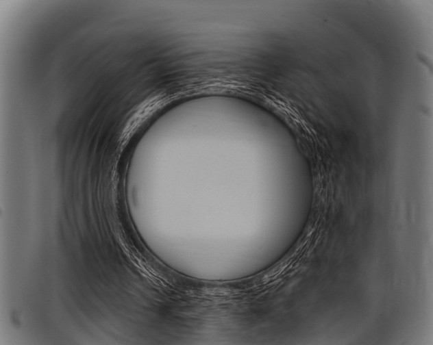 X0000098010242200803280737