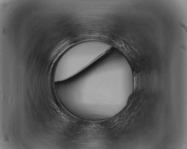 X0000098010243200803280737