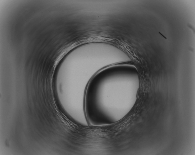 X0000098010244200803280737