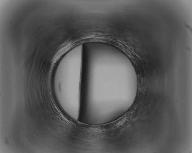 X0000098010245200803280737
