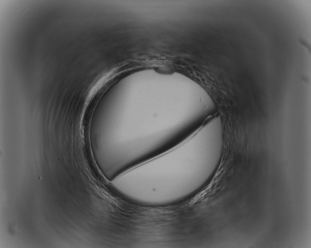X0000098010246200803280737