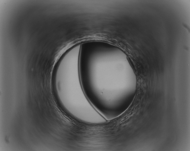 X0000098010248200803280737