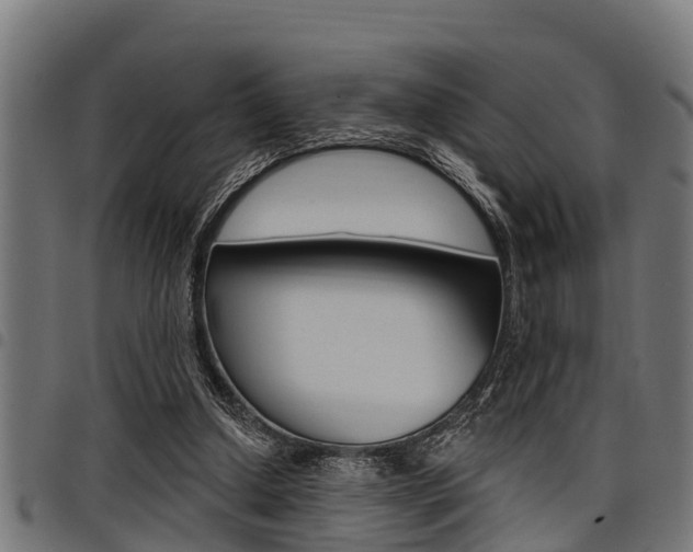 X0000098010250200803280737