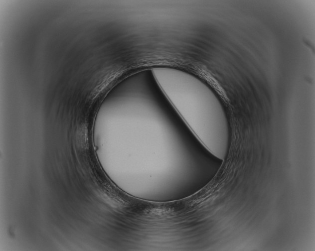 X0000098010251200803280737