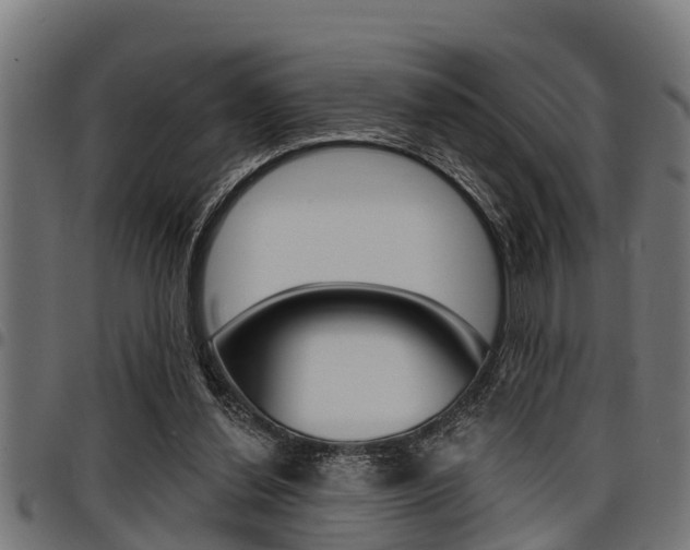 X0000098010252200803280737