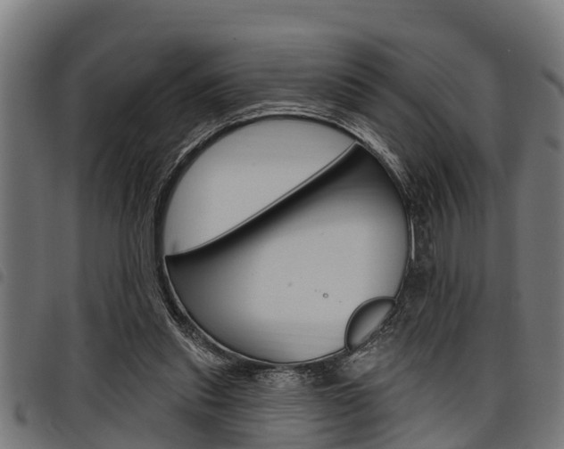 X0000098010253200803280737