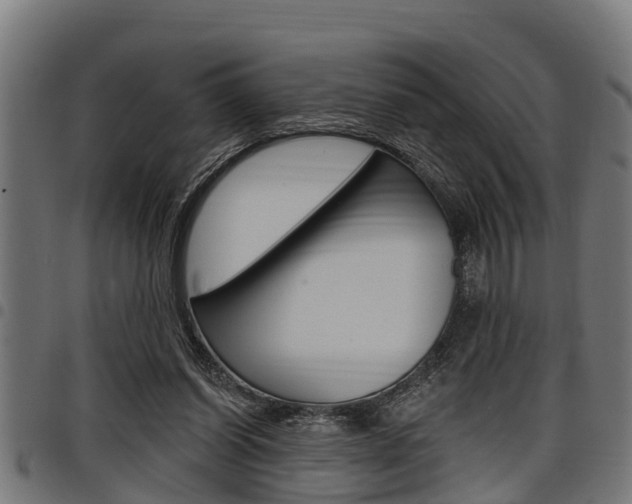 X0000098010254200803280737