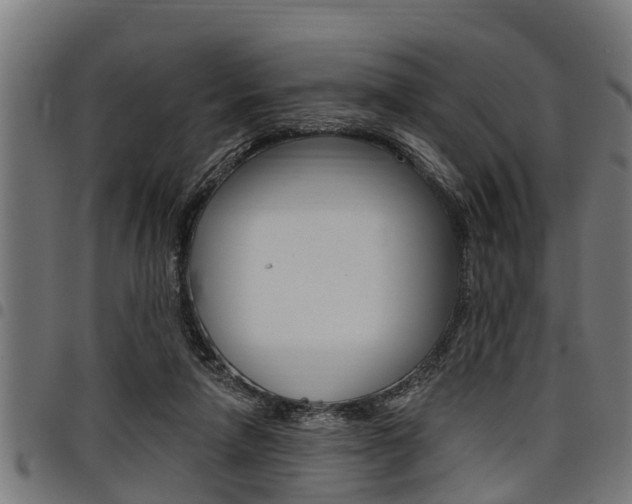 X0000098010258200803280737