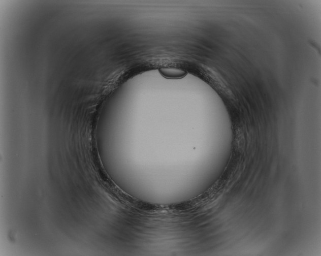 X0000098010259200803280737