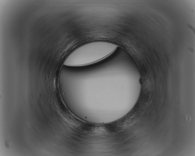X0000098010262200803280737
