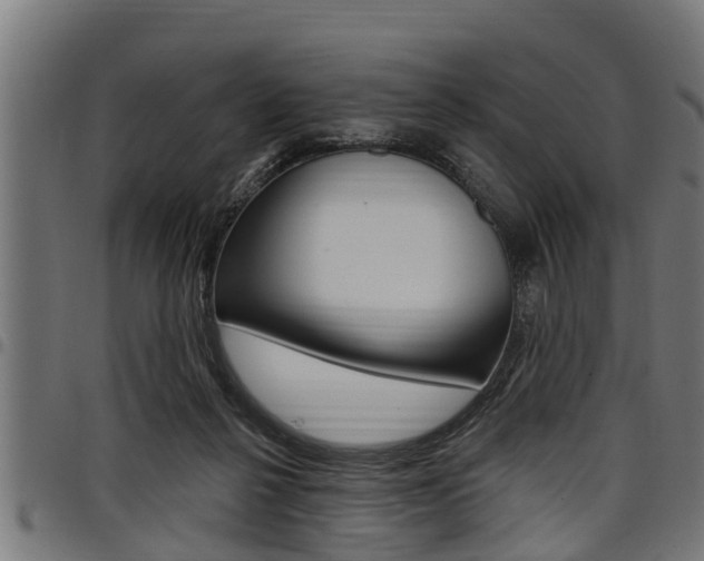 X0000098010264200803280737