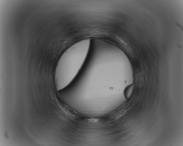 X0000098010265200803280737