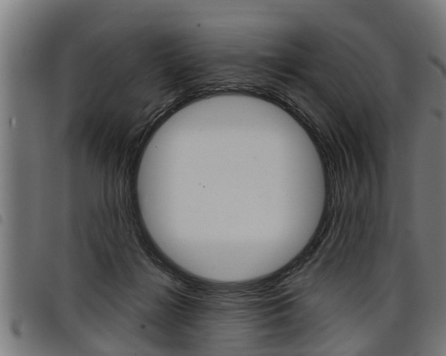 X0000098010268200803280737