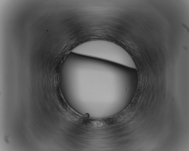 X0000098010272200803280737