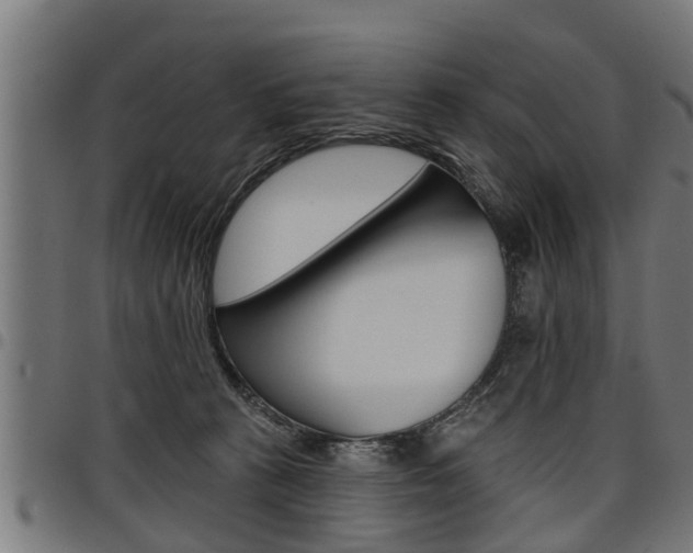 X0000098010273200803280737