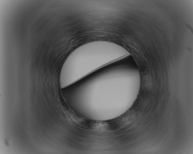 X0000098010274200803280737