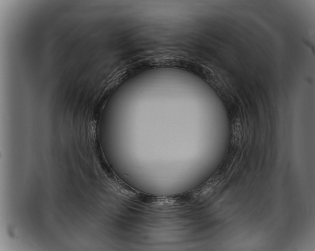 X0000098010278200803280737