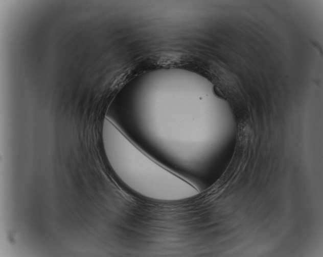 X0000098010280200803280737