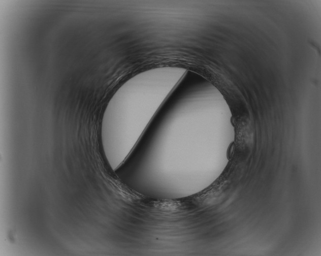 X0000098010282200803280737