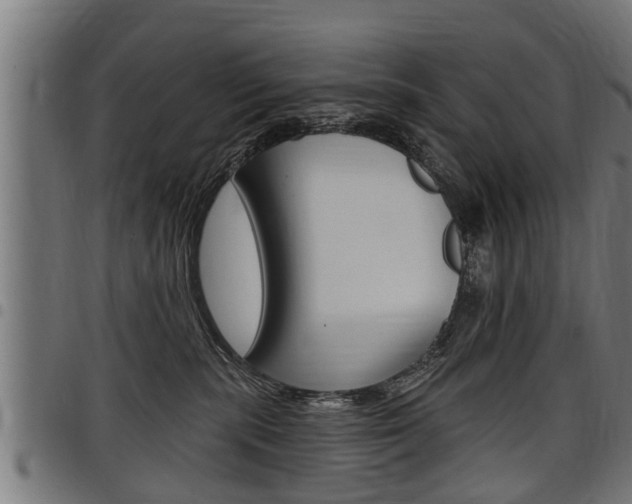 X0000098010283200803280737