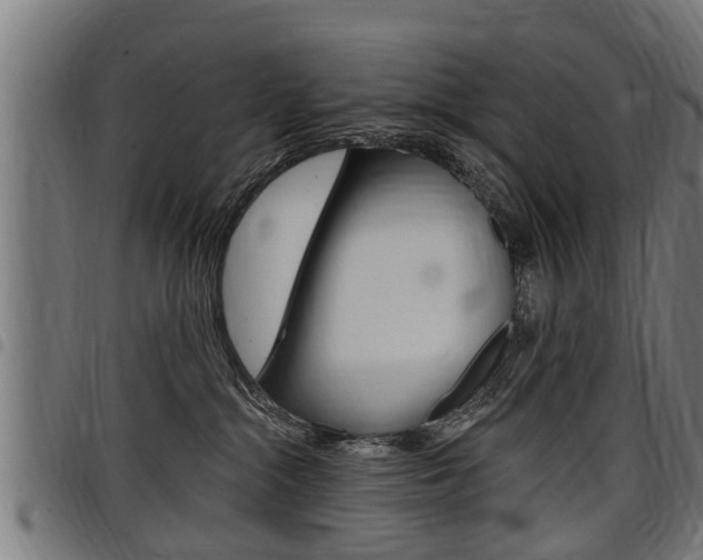 X0000098010284200803280737