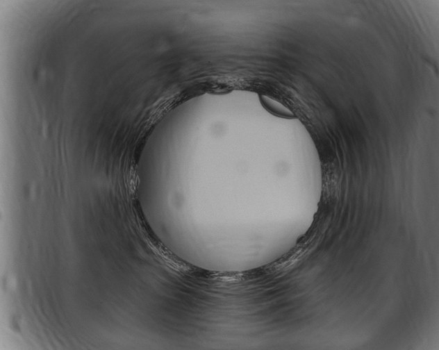 X0000098010285200803280737