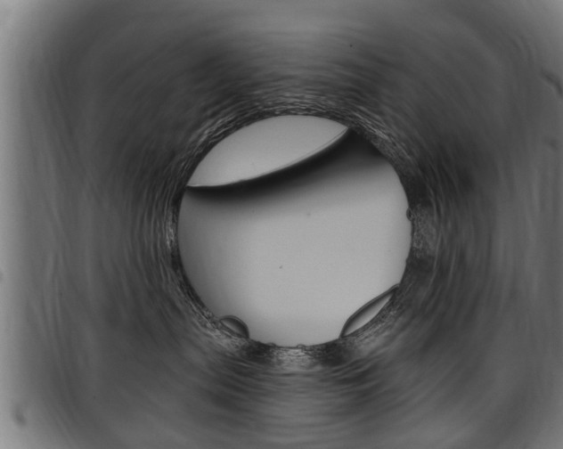 X0000098010287200803280737
