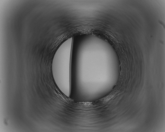 X0000098010288200803280737