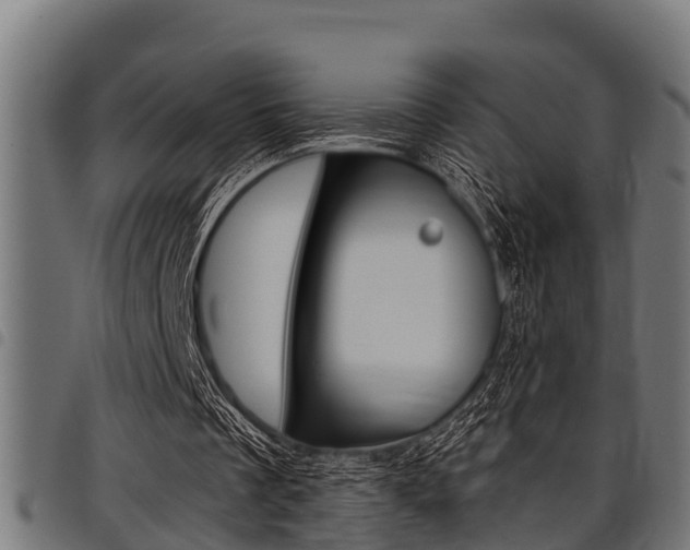 X0000098010289200803280737
