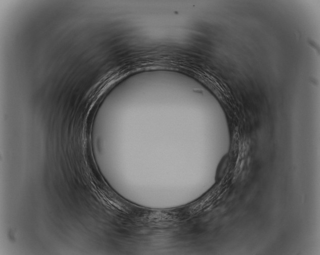 X0000098010290200803280737