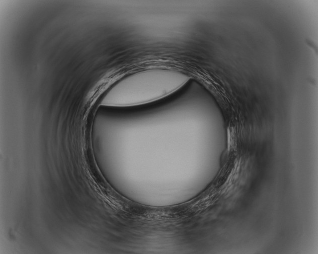 X0000098010291200803280737