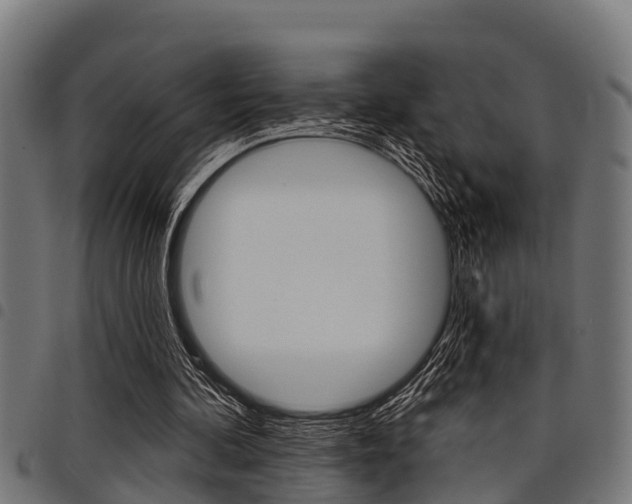 X0000098010292200803280737