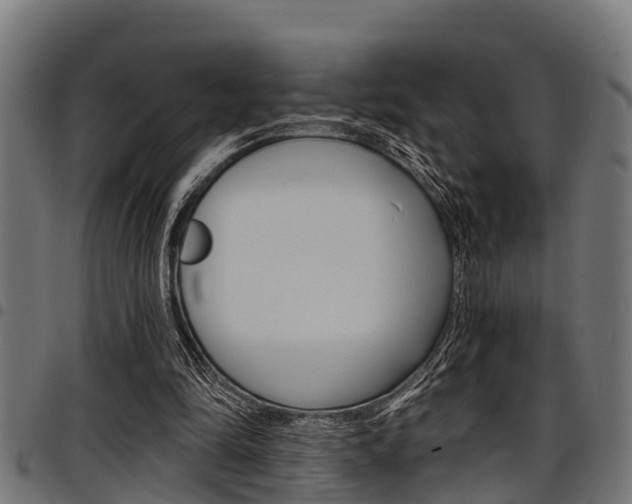 X0000098010294200803280737