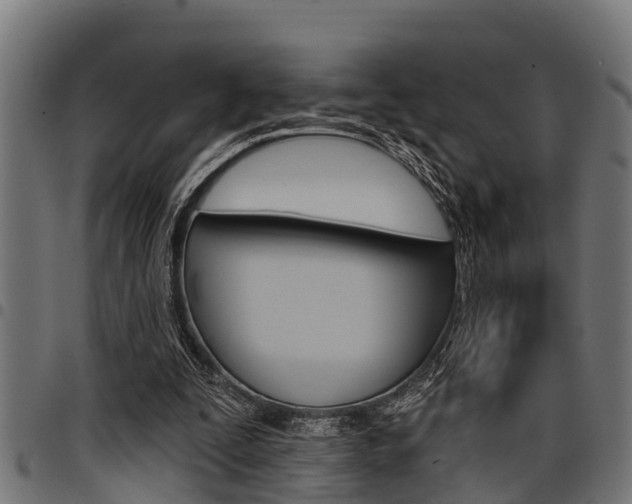 X0000098010295200803280737