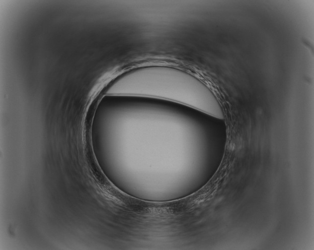 X0000098010296200803280737