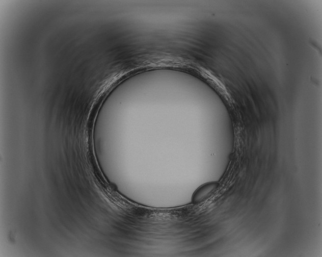 X0000098010298200803280736