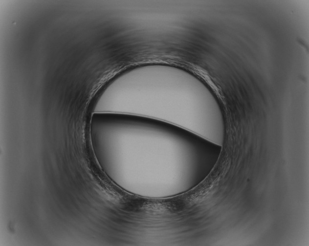 X0000098010299200803280736