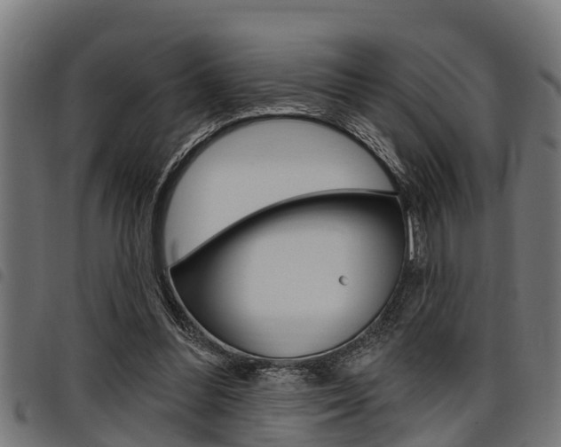 X0000098010300200803280736