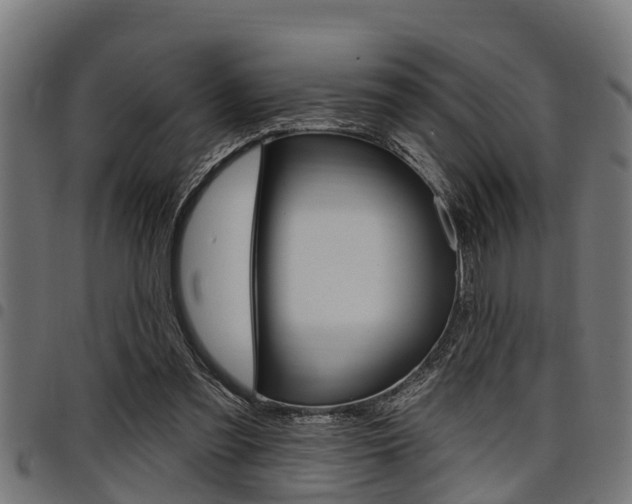 X0000098010301200803280736