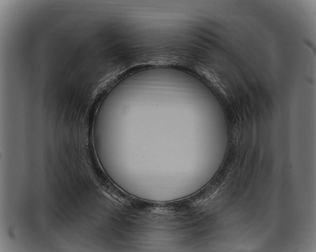 X0000098010303200803280736