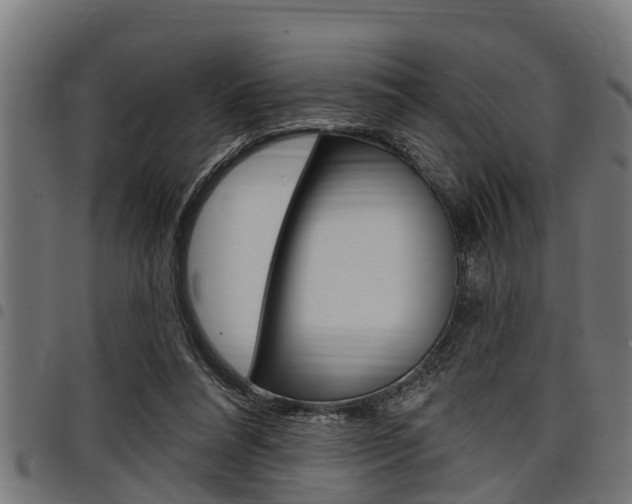 X0000098010304200803280736
