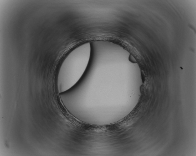 X0000098010306200803280736