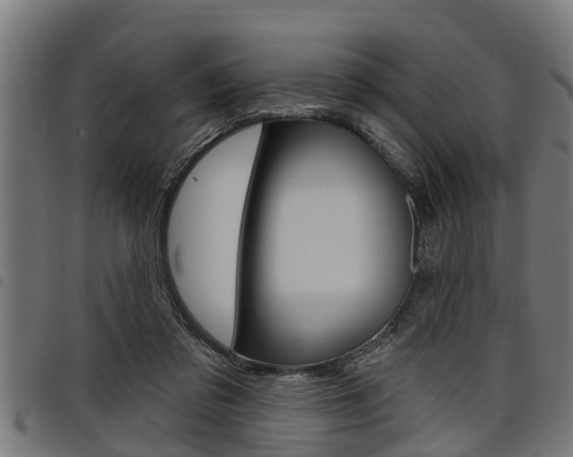 X0000098010309200803280736