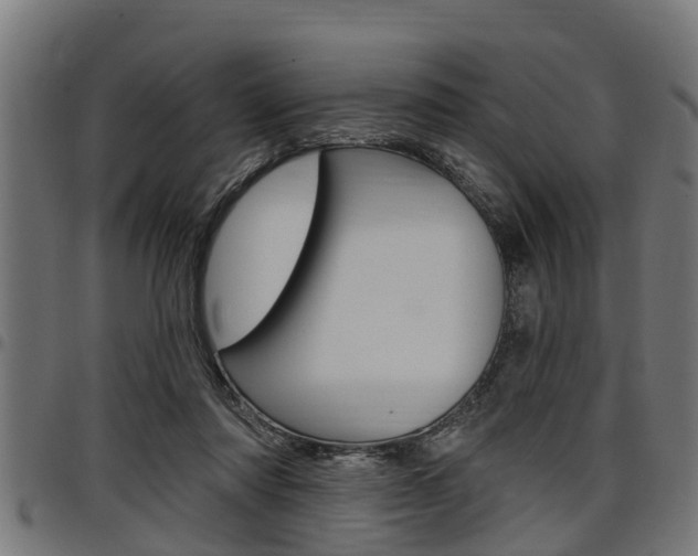 X0000098010310200803280736